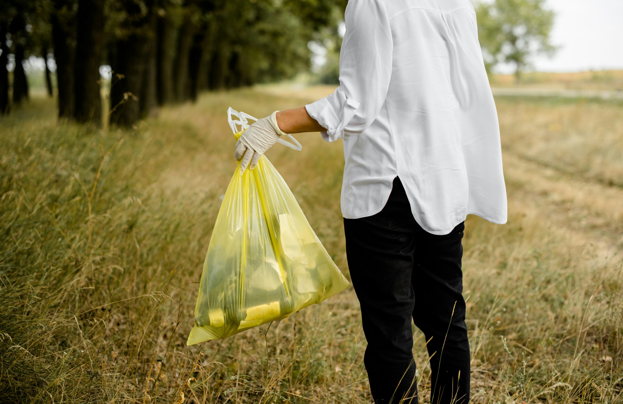 Walking Your Talk: A Powerful Lesson in Living Your Values
