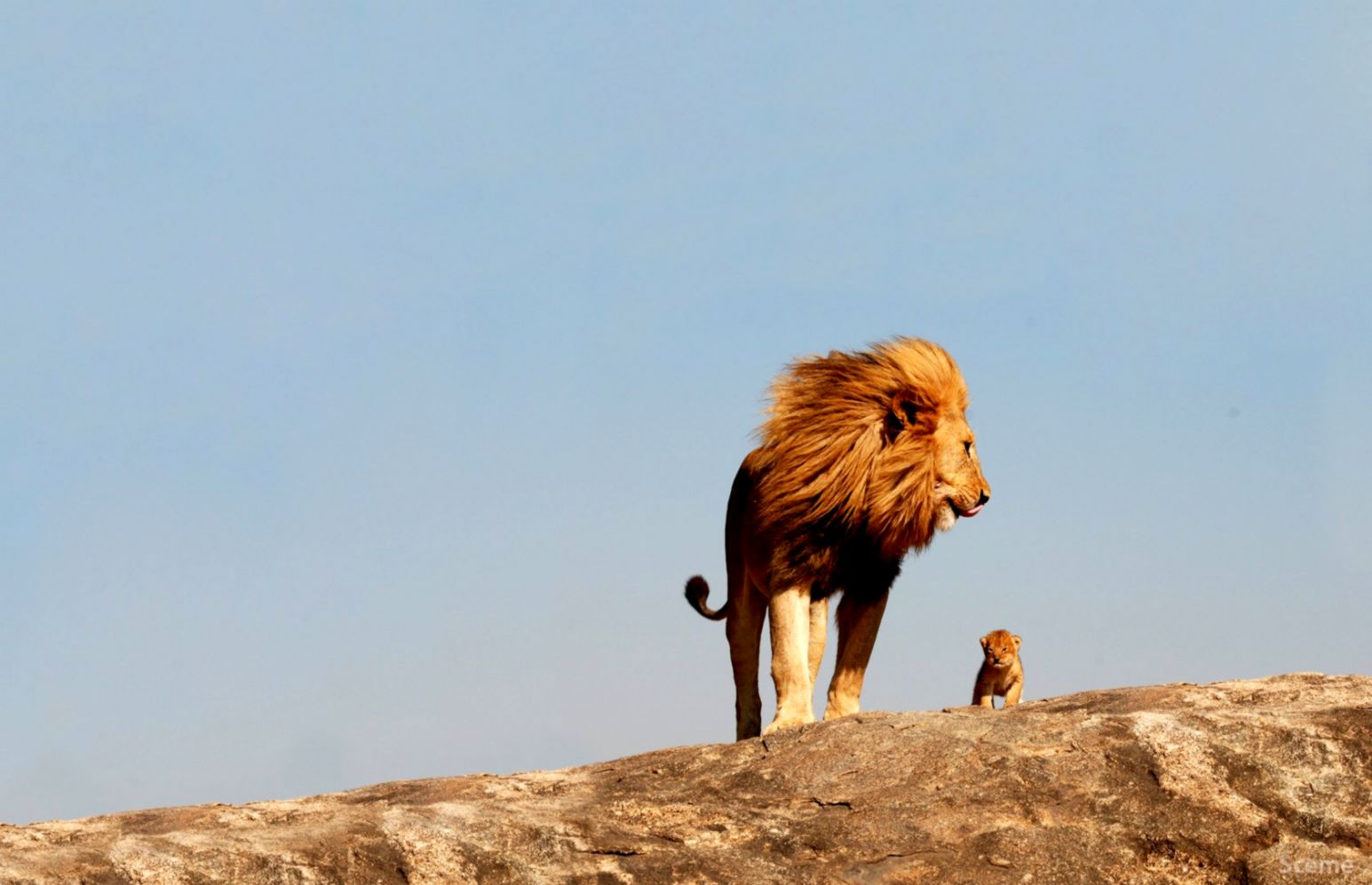 Seek Support, Not Approval: A Lesson in Self-Belief