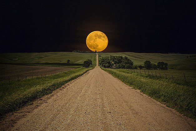 POEM: In Faith You Can Trust 