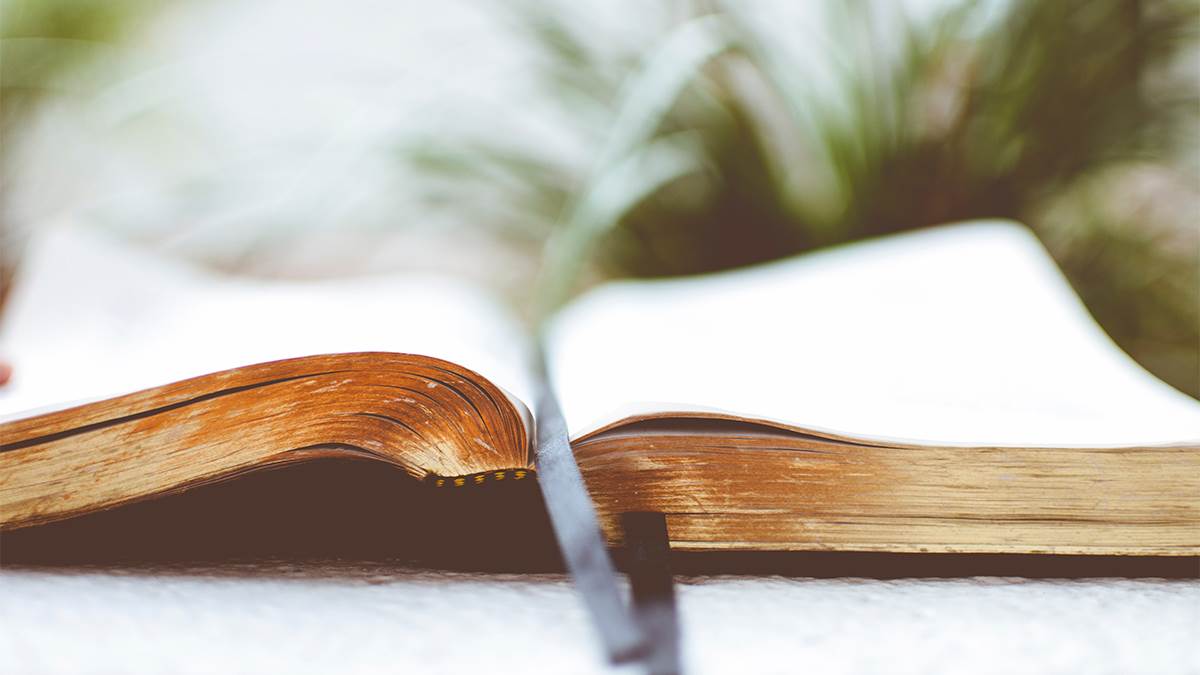 Books I Read In 2024